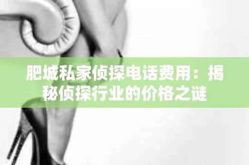 肥城私家侦探电话费用：揭秘侦探行业的价格之谜