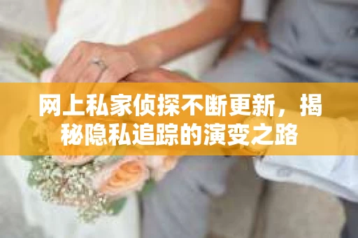 网上私家侦探不断更新，揭秘隐私追踪的演变之路