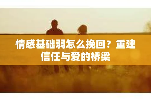 情感基础弱怎么挽回？重建信任与爱的桥梁