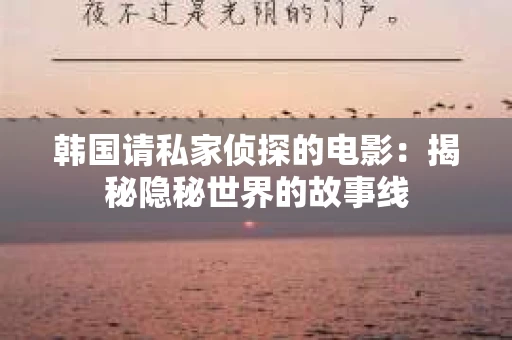 韩国请私家侦探的电影：揭秘隐秘世界的故事线