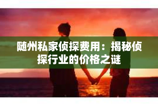 随州私家侦探费用：揭秘侦探行业的价格之谜
