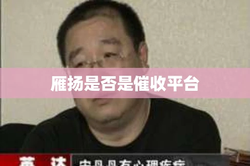 雁扬是否是催收平台