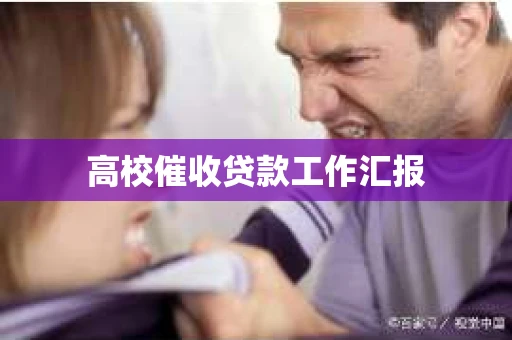 高校催收贷款工作汇报