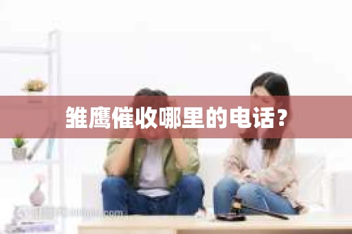 雏鹰催收哪里的电话？