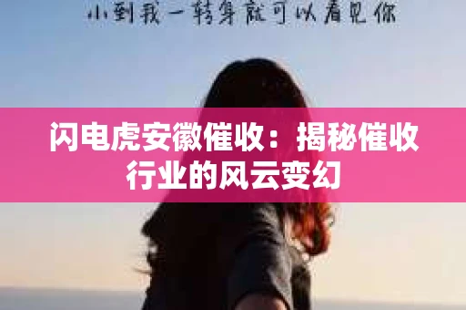 闪电虎安徽催收：揭秘催收行业的风云变幻