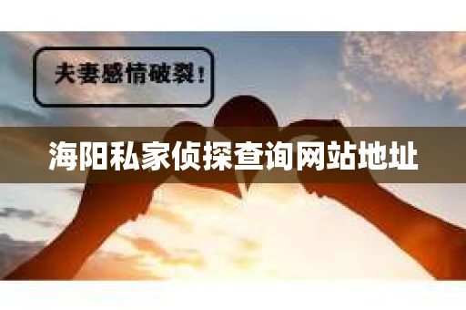 海阳私家侦探查询网站地址
