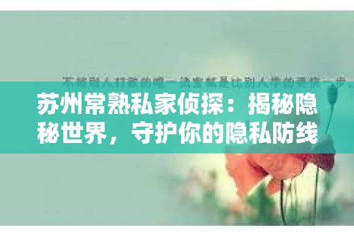 苏州常熟私家侦探：揭秘隐秘世界，守护你的隐私防线
